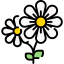 813_flower.png
